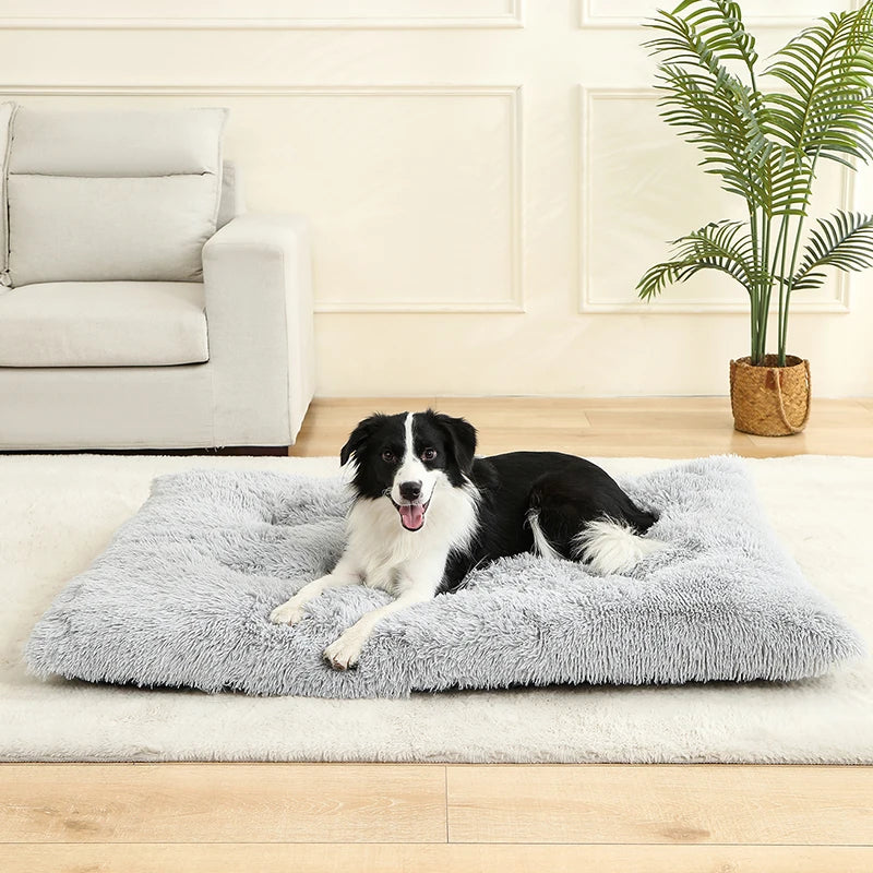 Soft Dog Beds House Soft Long Plush Best Bed