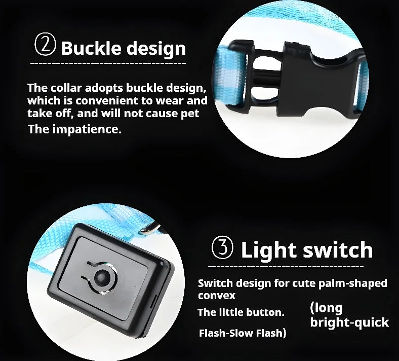 Nylon LED Night Safety Flashing Glow In The Dark Pet Dog Leash