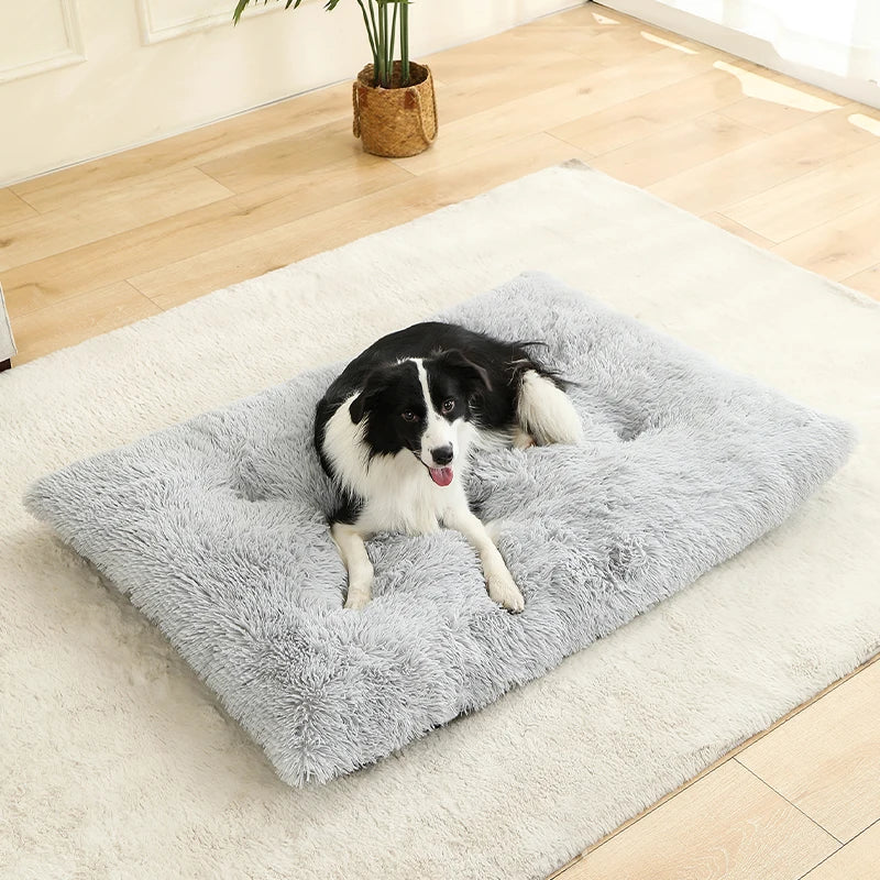Soft Dog Beds House Soft Long Plush Best Bed