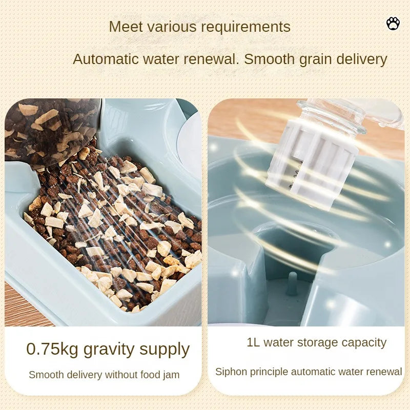 2 In 1 Tilted Automatic Pet Food And Water Feeder Gravity Food Feeder and Waterer