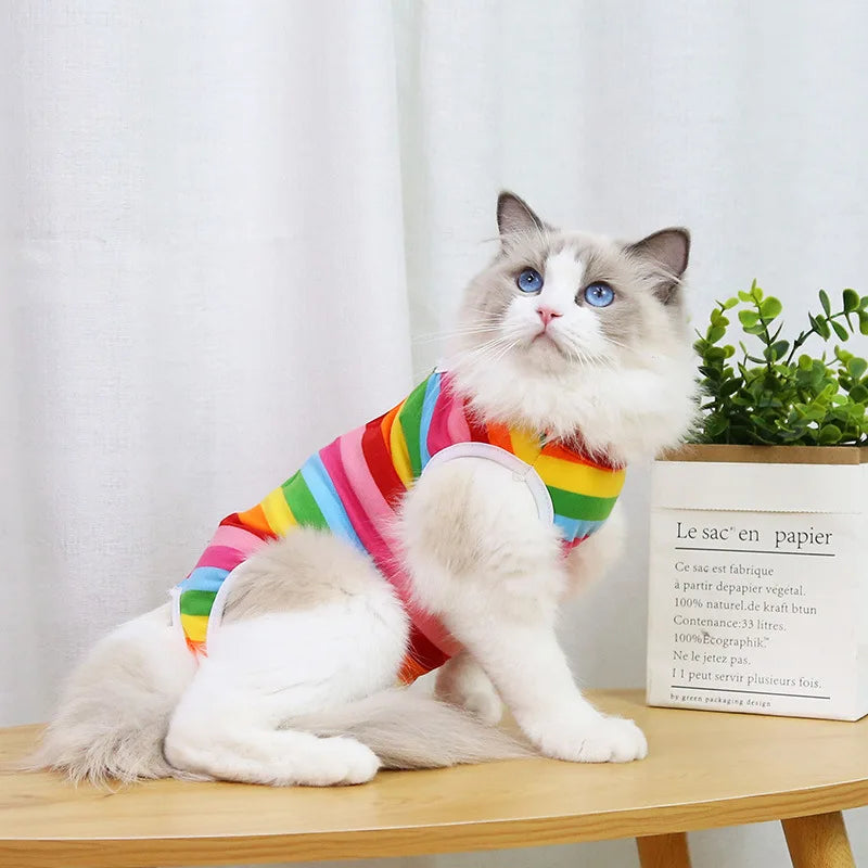 Cat Anti-licking Surgery Recovery Clothing Puppy