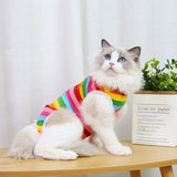 Cat Anti-licking Surgery Recovery Clothing Puppy