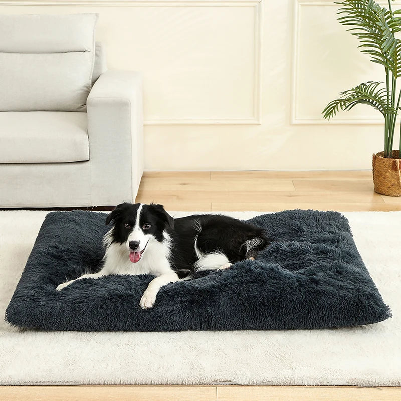 Soft Dog Beds House Soft Long Plush Best Bed