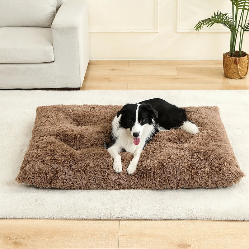 Soft Dog Beds House Soft Long Plush Best Bed