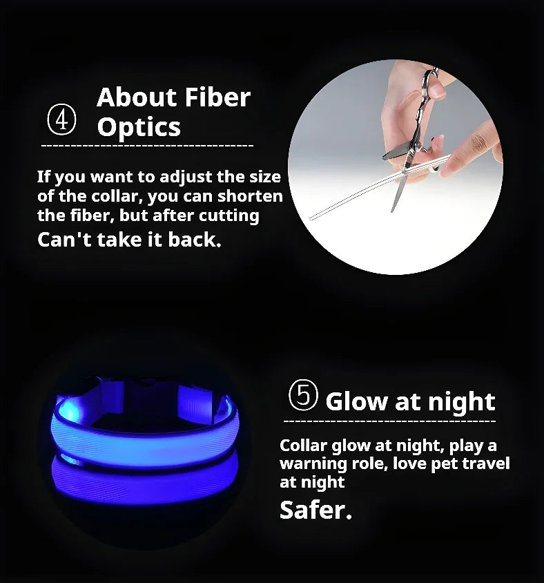 Nylon LED Night Safety Flashing Glow In The Dark Pet Dog Leash