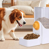 Automatic Small Pet Food And Water Dispenser For Dogs