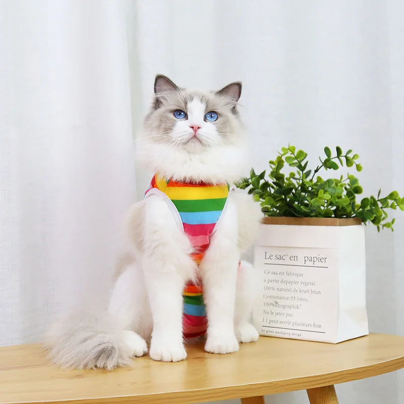 Cat Anti-licking Surgery Recovery Clothing Puppy