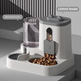 Cat  Automatic Feeder Food Bowl With Water Fountain
