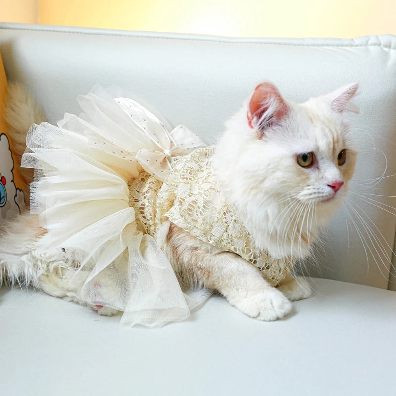 New Summer Wedding Dress Pet Cats Wedding Dress