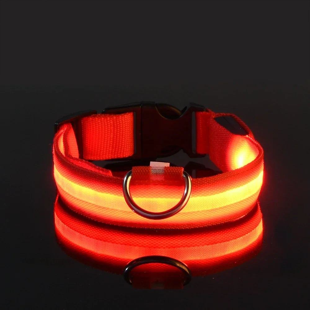 Nylon LED Night Safety Flashing Glow In The Dark Pet Dog Leash