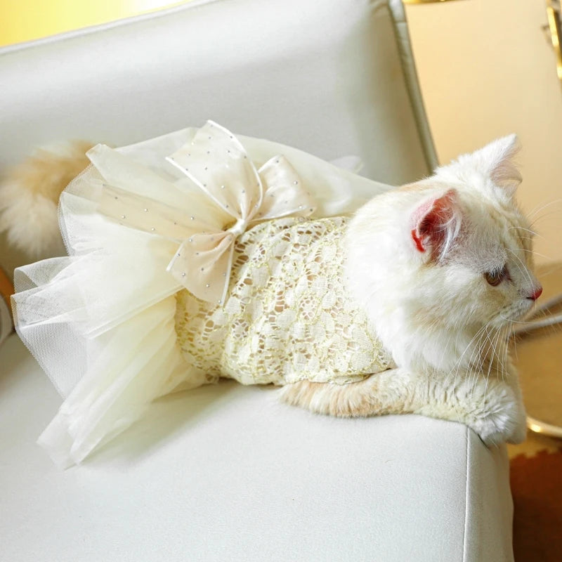 New Summer Wedding Dress Pet Cats Wedding Dress