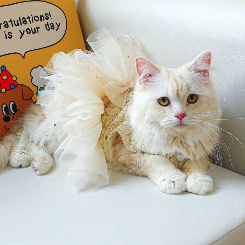 New Summer Wedding Dress Pet Cats Wedding Dress