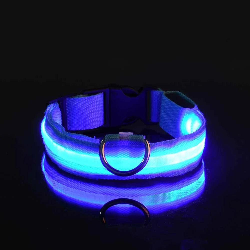 Nylon LED Night Safety Flashing Glow In The Dark Pet Dog Leash