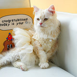 New Summer Wedding Dress Pet Cats Wedding Dress