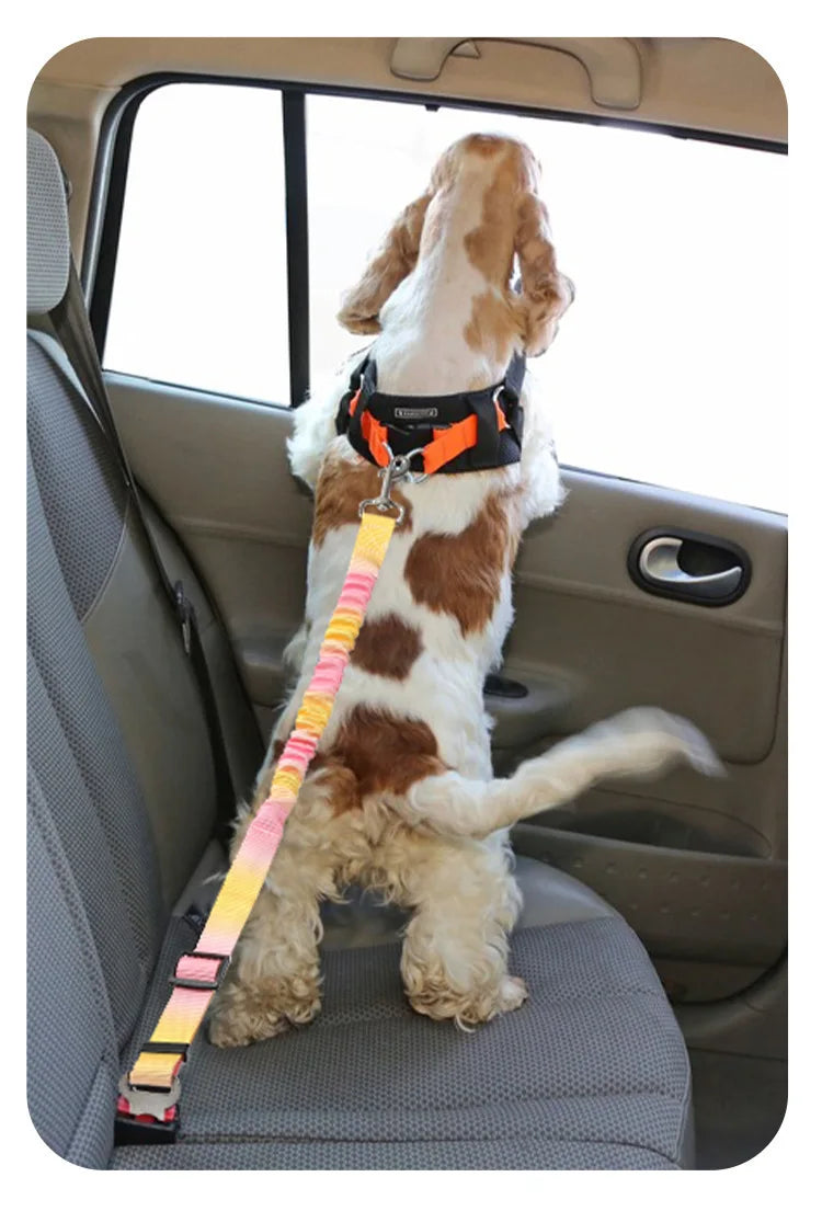 Dog Car Seat Belt Safety Protector Travel Pets Accessories