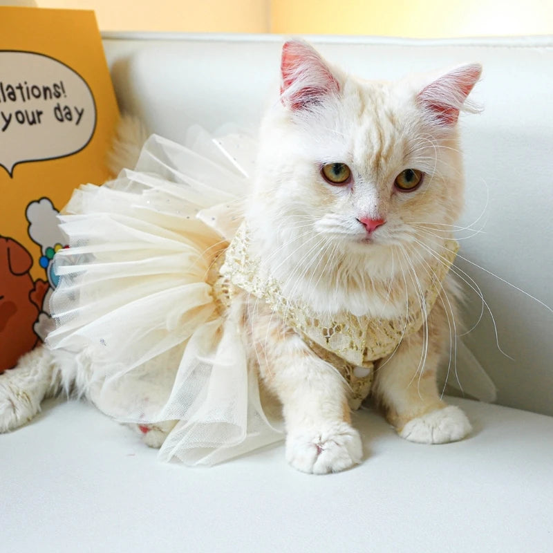 New Summer Wedding Dress Pet Cats Wedding Dress