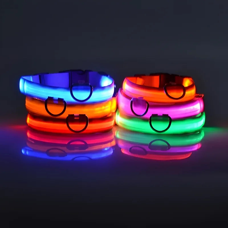 Nylon LED Night Safety Flashing Glow In The Dark Pet Dog Leash