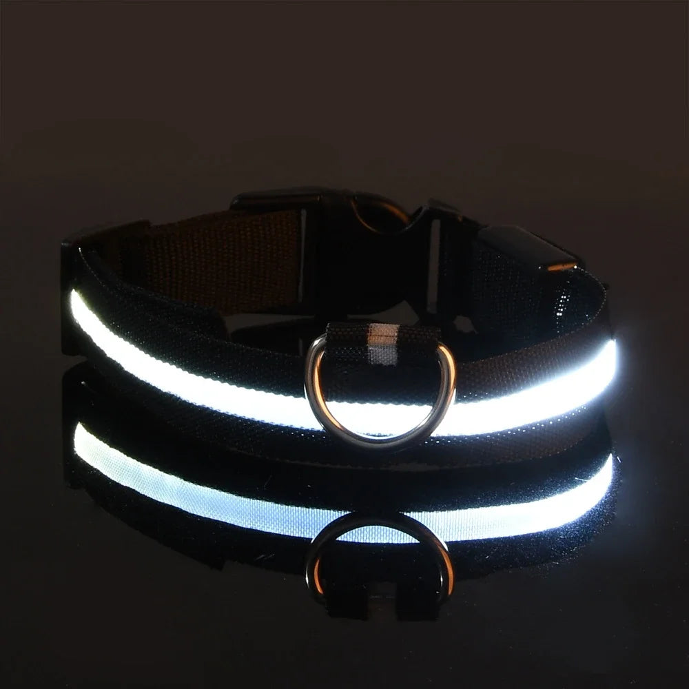 Nylon LED Night Safety Flashing Glow In The Dark Pet Dog Leash