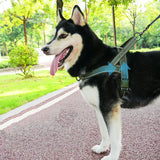 New Dog Tactical Chest Harness Nylon Material