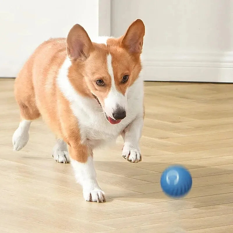 Smart Dog Toy Ball Electronic Interactive Pet Toy Moving Ball