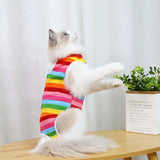Cat Anti-licking Surgery Recovery Clothing Puppy
