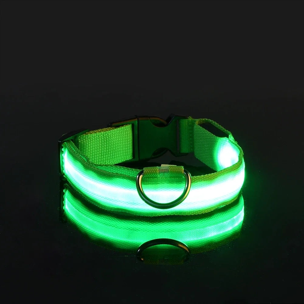 Nylon LED Night Safety Flashing Glow In The Dark Pet Dog Leash
