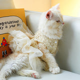 New Summer Wedding Dress Pet Cats Wedding Dress
