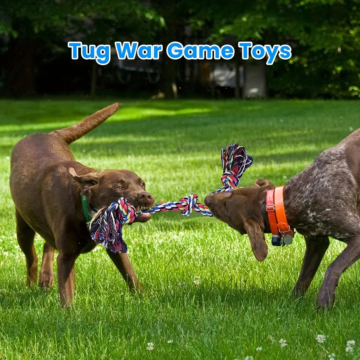 Dog Chew Toys Tug Of War Interactive Toys