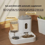 Cat  Automatic Feeder Food Bowl With Water Fountain