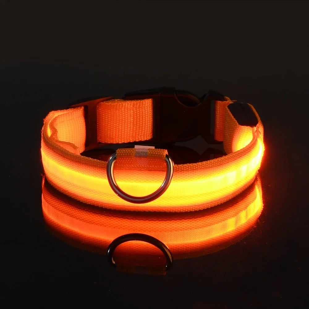 Nylon LED Night Safety Flashing Glow In The Dark Pet Dog Leash