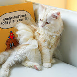 New Summer Wedding Dress Pet Cats Wedding Dress