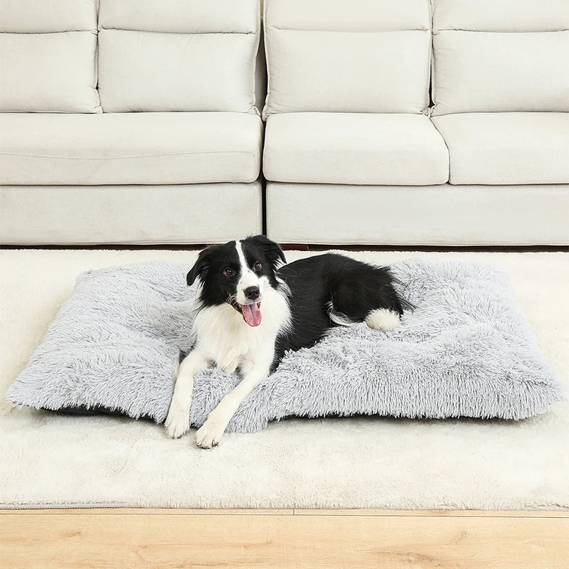 Soft Dog Beds House Soft Long Plush Best Bed