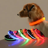 Nylon LED Night Safety Flashing Glow In The Dark Pet Dog Leash