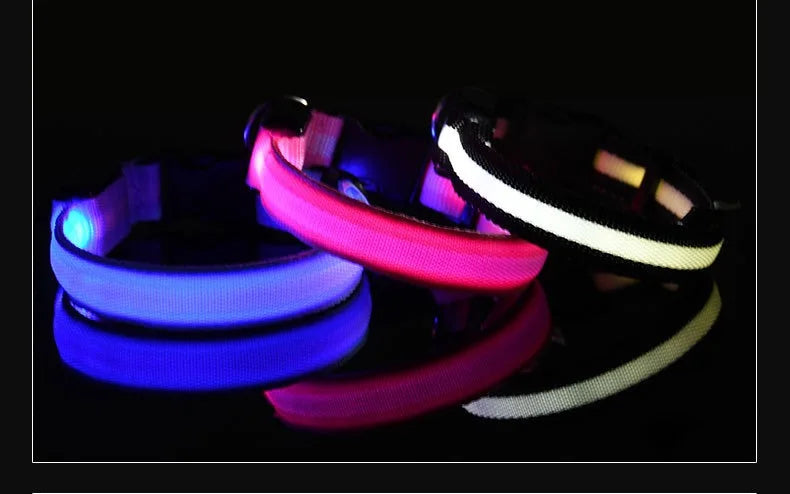 Nylon LED Night Safety Flashing Glow In The Dark Pet Dog Leash