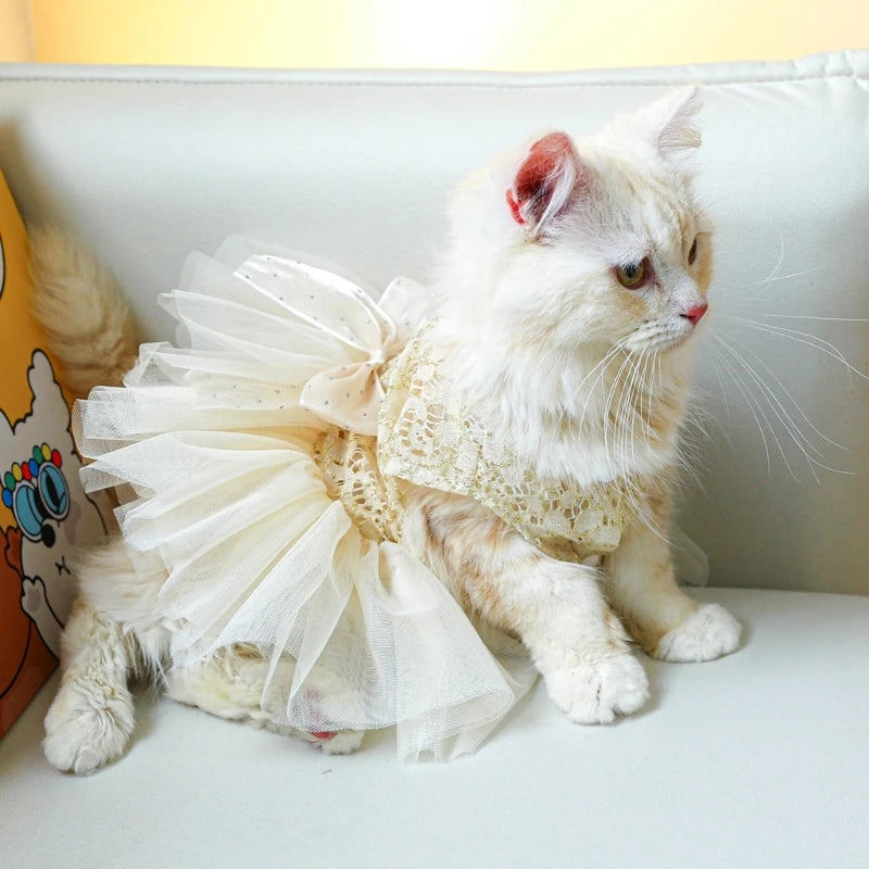 New Summer Wedding Dress Pet Cats Wedding Dress