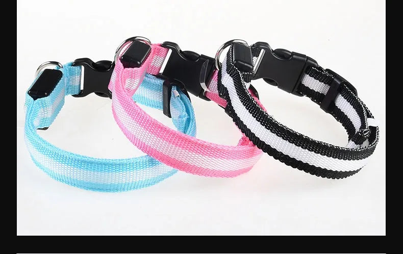 Nylon LED Night Safety Flashing Glow In The Dark Pet Dog Leash