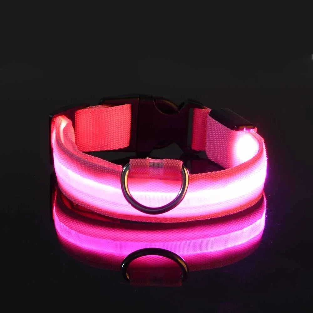Nylon LED Night Safety Flashing Glow In The Dark Pet Dog Leash