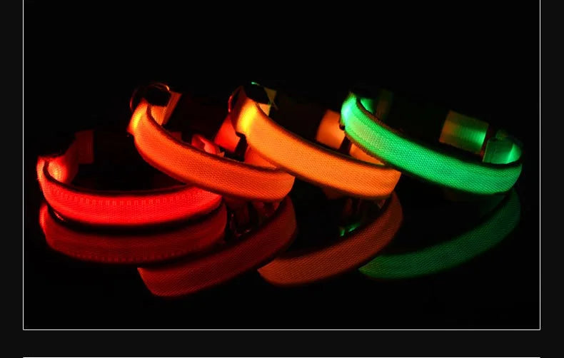 Nylon LED Night Safety Flashing Glow In The Dark Pet Dog Leash