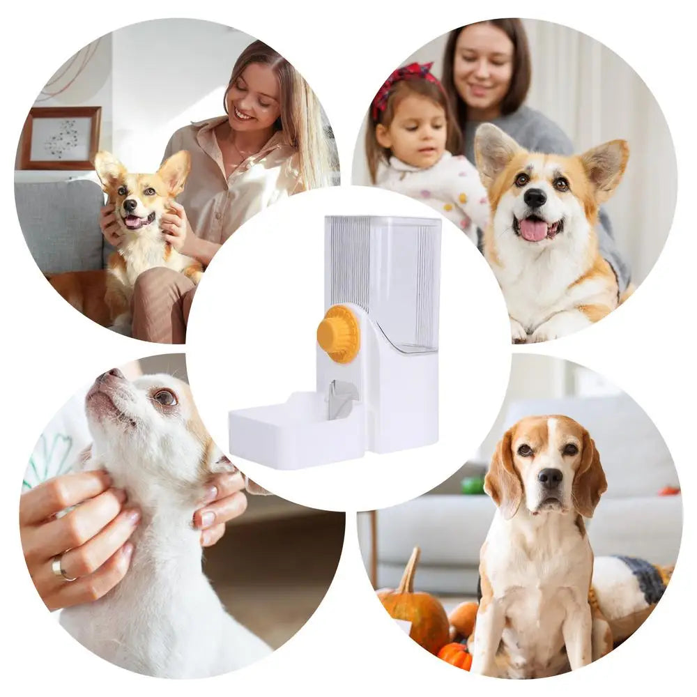 Automatic Small Pet Food And Water Dispenser For Dogs