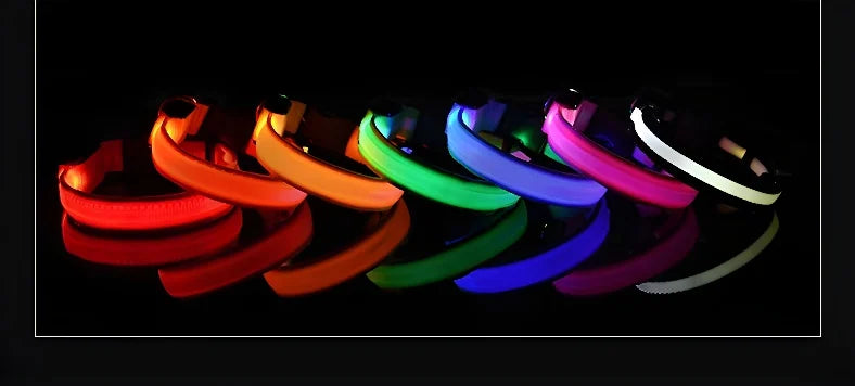 Nylon LED Night Safety Flashing Glow In The Dark Pet Dog Leash