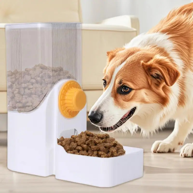 Automatic Small Pet Food And Water Dispenser For Dogs