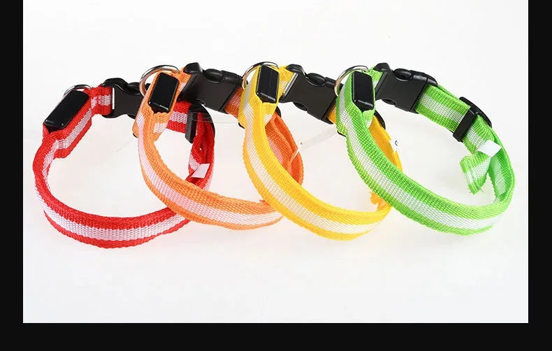 Nylon LED Night Safety Flashing Glow In The Dark Pet Dog Leash