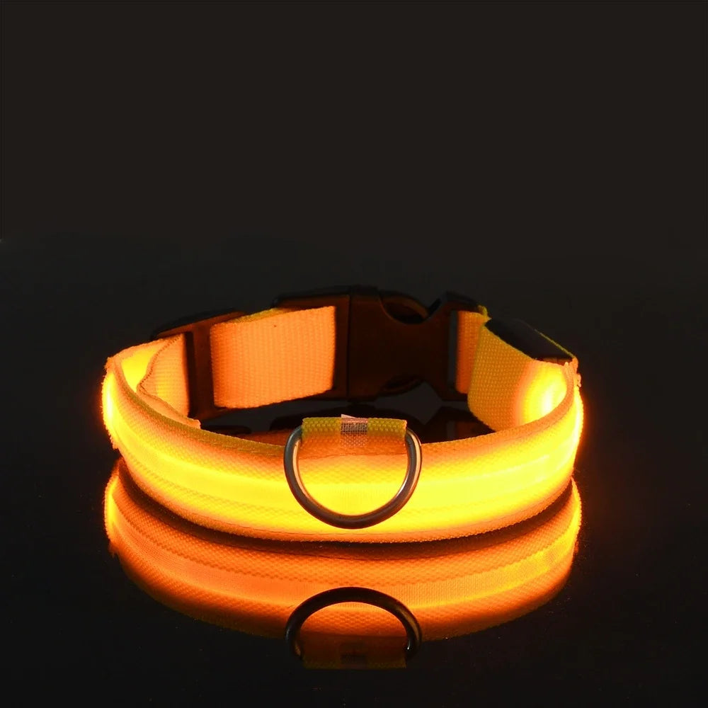 Nylon LED Night Safety Flashing Glow In The Dark Pet Dog Leash