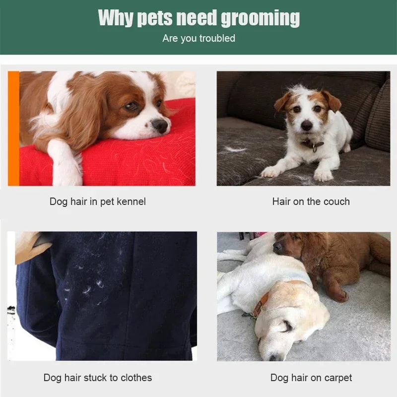 Dog Brush Pet Hair Remover Massage