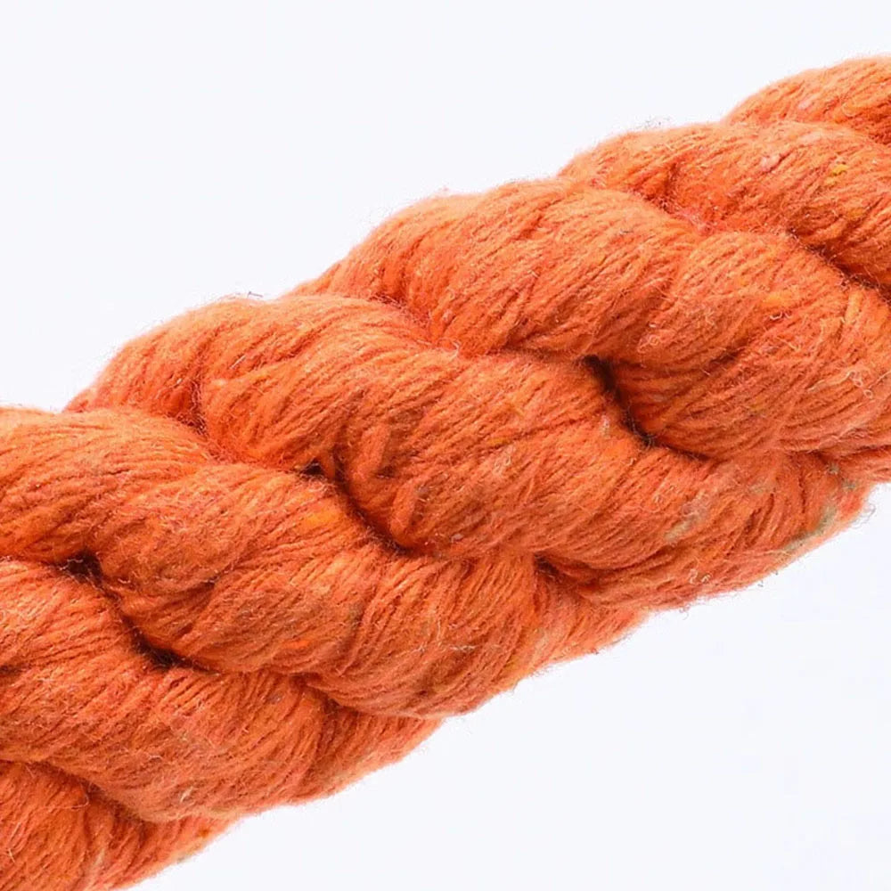 1Pcs Carrot Dog Bite Rope