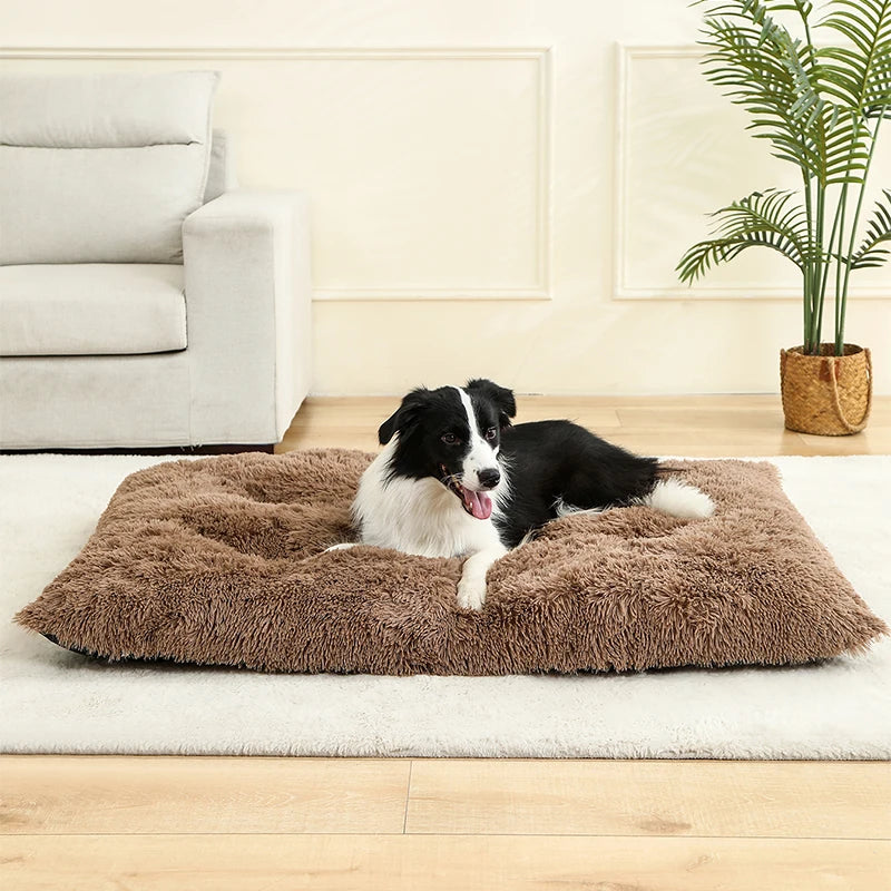 Soft Dog Beds House Soft Long Plush Best Bed